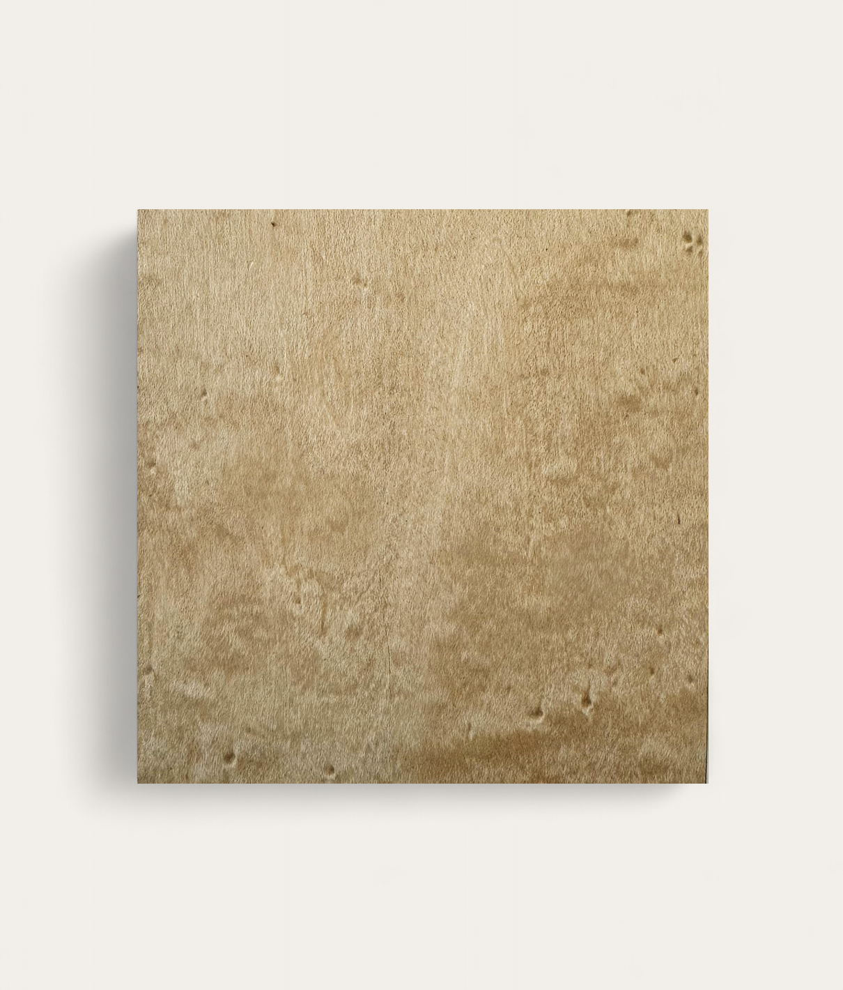 Erwin Desk - Birds Eye Maple Sample